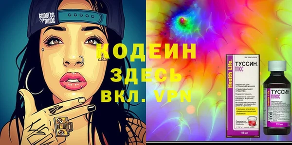 ПСИЛОЦИБИНОВЫЕ ГРИБЫ Михайлов